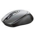 Raton inalámbrico Recargable Usb-C Trust Zaya Negro / 1600 Dpi / 4 Botones / Ambidiestro / 23809