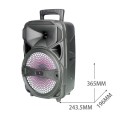 Altavoz Bluetooth 5.0 NF4089 / 20w / 2.400 mAh / Luces Led / Tws / Fm / Microsd / Usb / Negro / One+ / 2400892