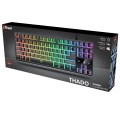 Teclado Trust Gaming Evocx Gxt 836 / Iluminacion RGB / Anti-Ghosting / Ps4 / Ps5 / Xbox Series / 24998