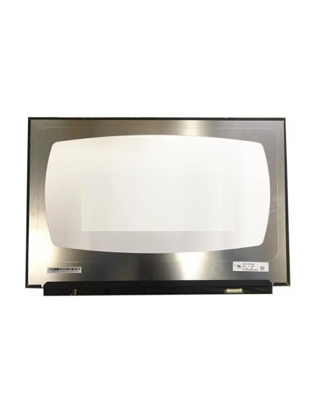 Pantalla para portátil LCD 17.0