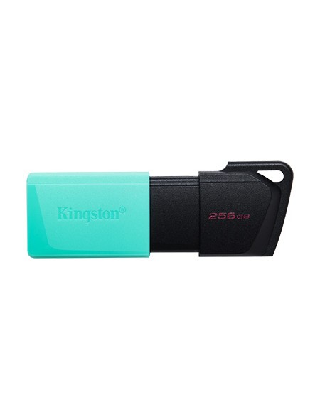 ÷ Memoria usb 256gb kingston dtxm/256 usb3.2 exodia m