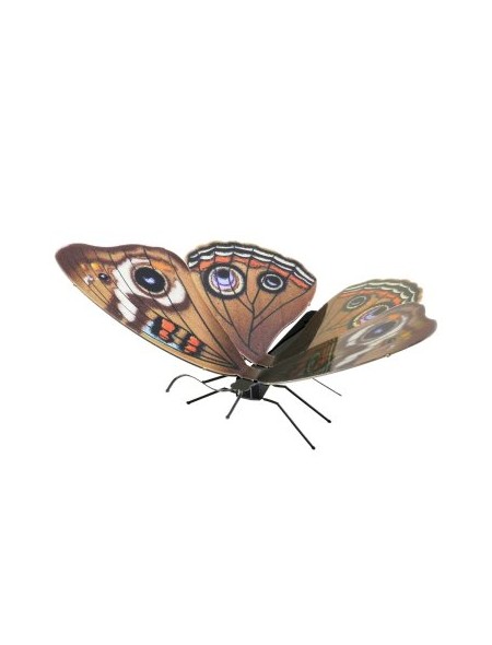 ÷ Maqueta 3d metal fascinations mariposa buckeye montaje sin pegamento ni soldadura