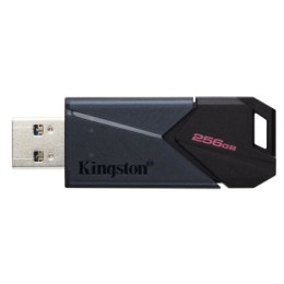 ÷ Memoria usb 256gb kingston dtxon/256gb usb3.2