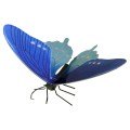 ÷ Maqueta 3d metal fascinations mariposa pipervine swallowtail montaje sin pegamento ni soldadura 