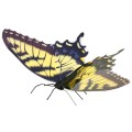 ÷ Maqueta 3d metal fascinations mariposa tiger swallowtail montaje sin pegamento ni soldadura 