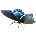 ÷ Maqueta 3d metal fascinations mariposa red-spotted purple montaje sin pegamento ni soldadura