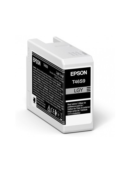 ÷ Tinta original epson t46s9 gris claro 25ml