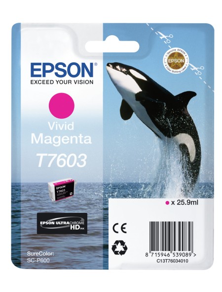 ÷ Tinta original epson t7603 magenta vivo c13t76034010 25.9ml